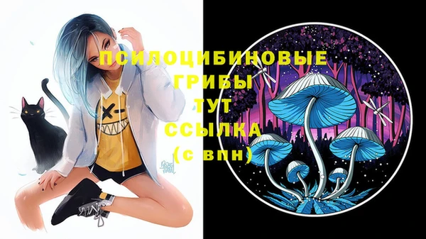 винт Заволжье