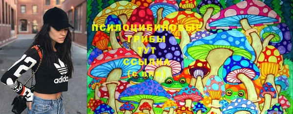 гашишное масло Заводоуковск